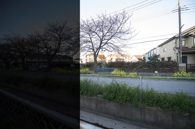 DSC_2557-2.jpg