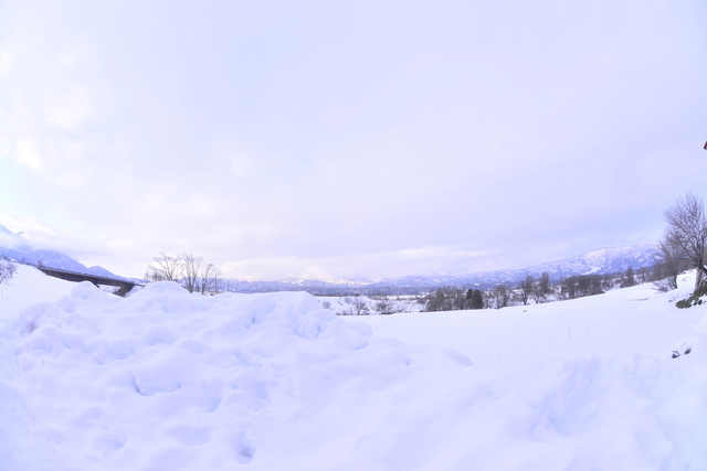 DSC_3738.JPG