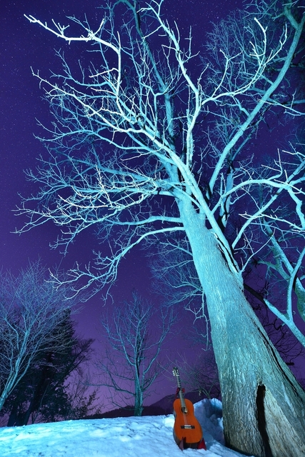 DSC_5729.JPG