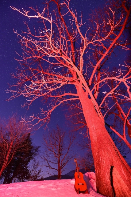 DSC_5730.JPG