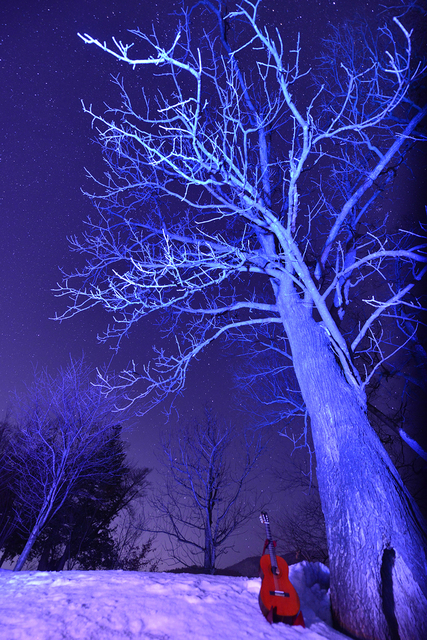 DSC_5733syou.jpg