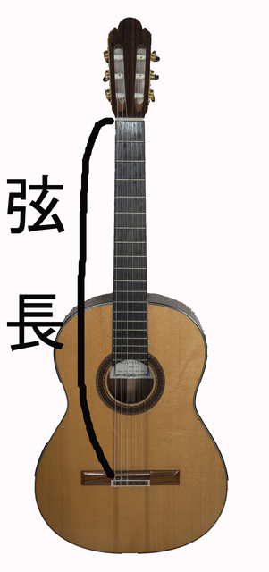 ギター弦長.jpg