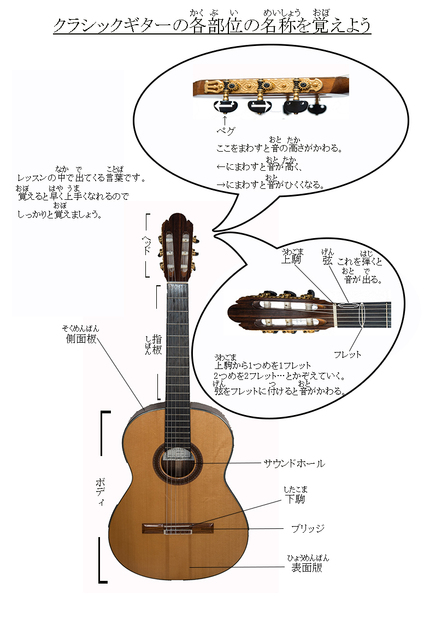 クラシックギターの各部位名称.jpg