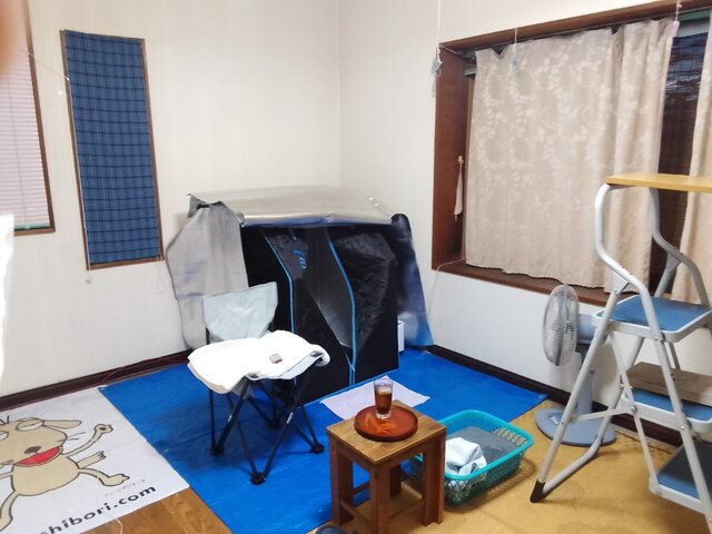 写真を送ります.jpg