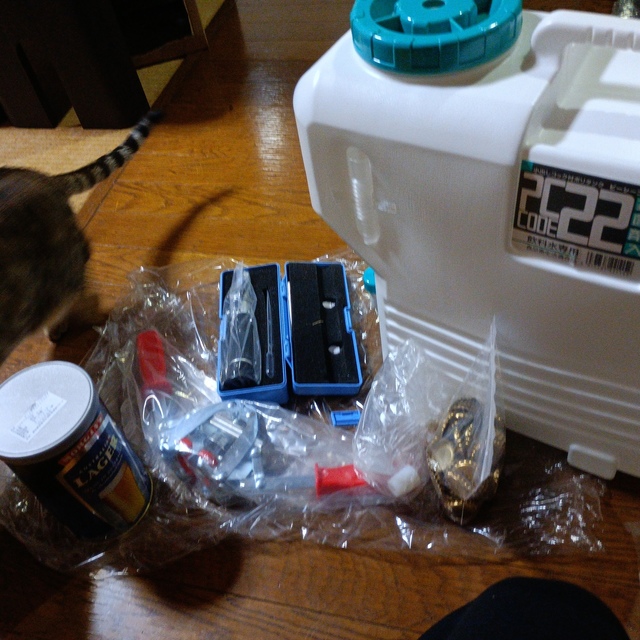 IMG_20230321_190037.jpg