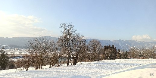 IMG_20231229_150638.jpg