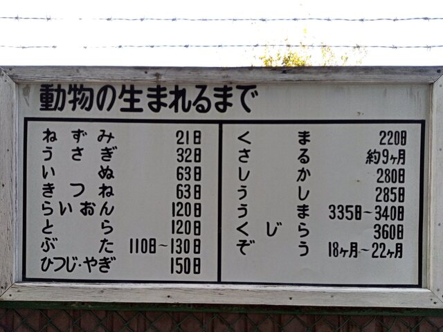 IMG_20241017_112104.jpg